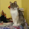 Отзыв от Наталия Мартынова